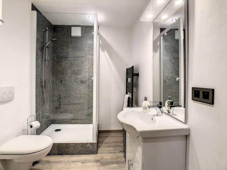 Mont Alt, F2 40M2 En Rdc, Calme, Vue Mt Blanc Apartman Passy Kültér fotó